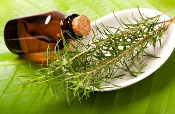 Tea tree
