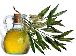 Tea oil