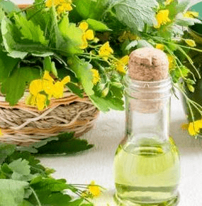 Sealandine in the fight against fungi